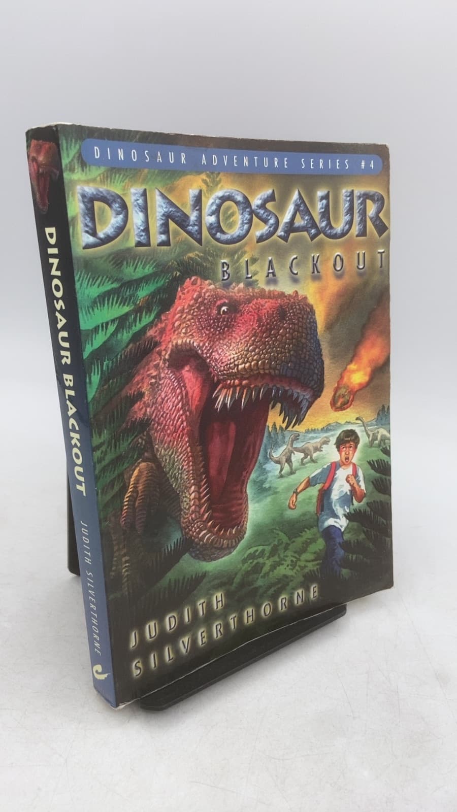 Dinosaur Blackout by Judith Silverthorne - front cover