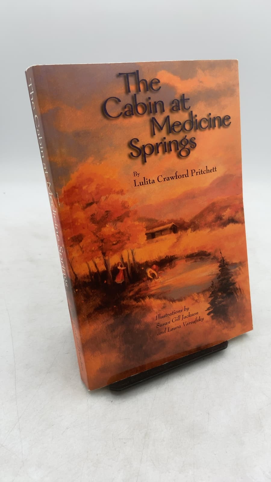 The Cabin at Medicine Springs by Lulita Crawford Pritchett - front cover