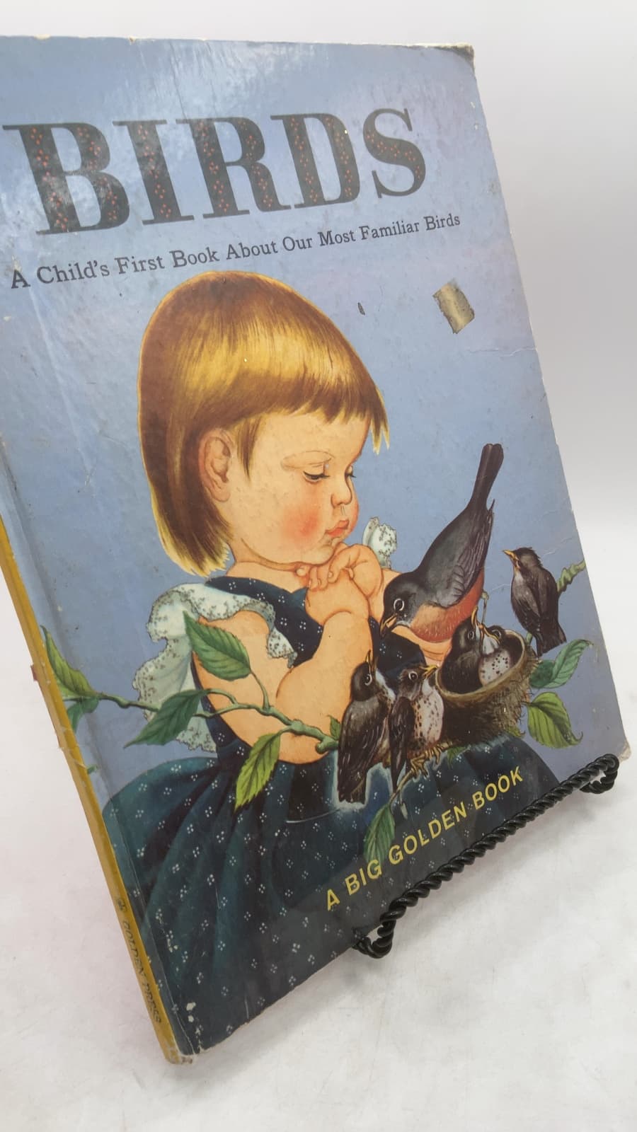 Birds: A Child's First Book About Our Most Familiar Birds by Jane Werner Watson - front cover