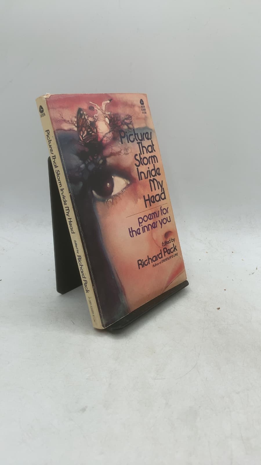 Pictures That Storm Inside My Head: poems for the inner you by Richard Peck - front cover