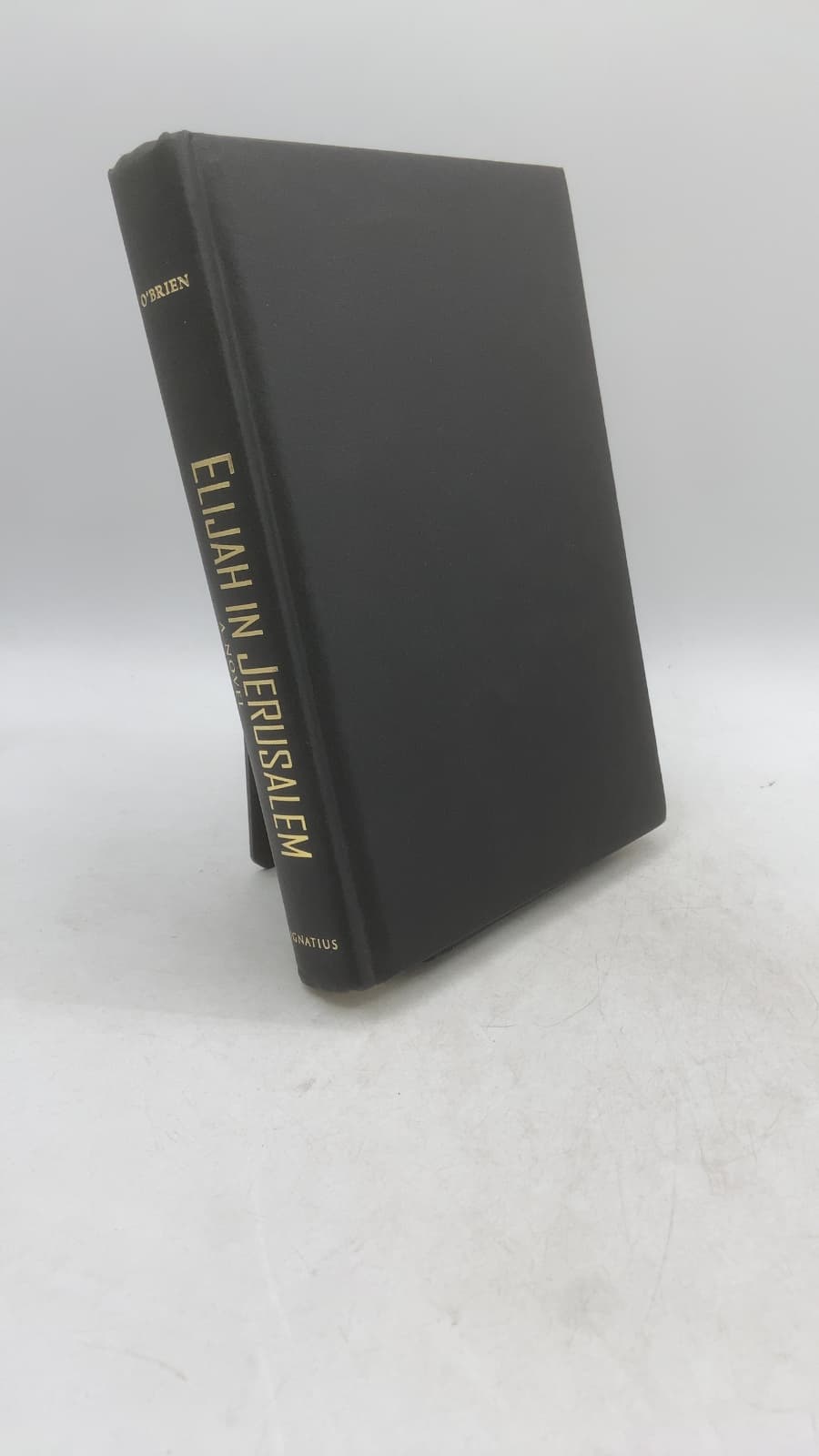 Elijah IN Jerusalem by Michael D. O'Brien - front cover