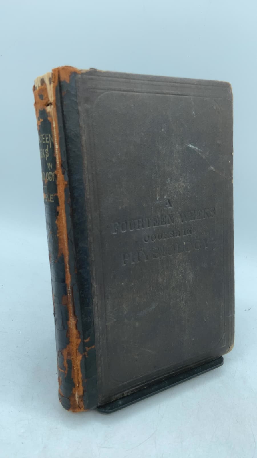 Fourteen Weeks in Human Physiology by J. Dorman Steele, Ph.D. - front cover