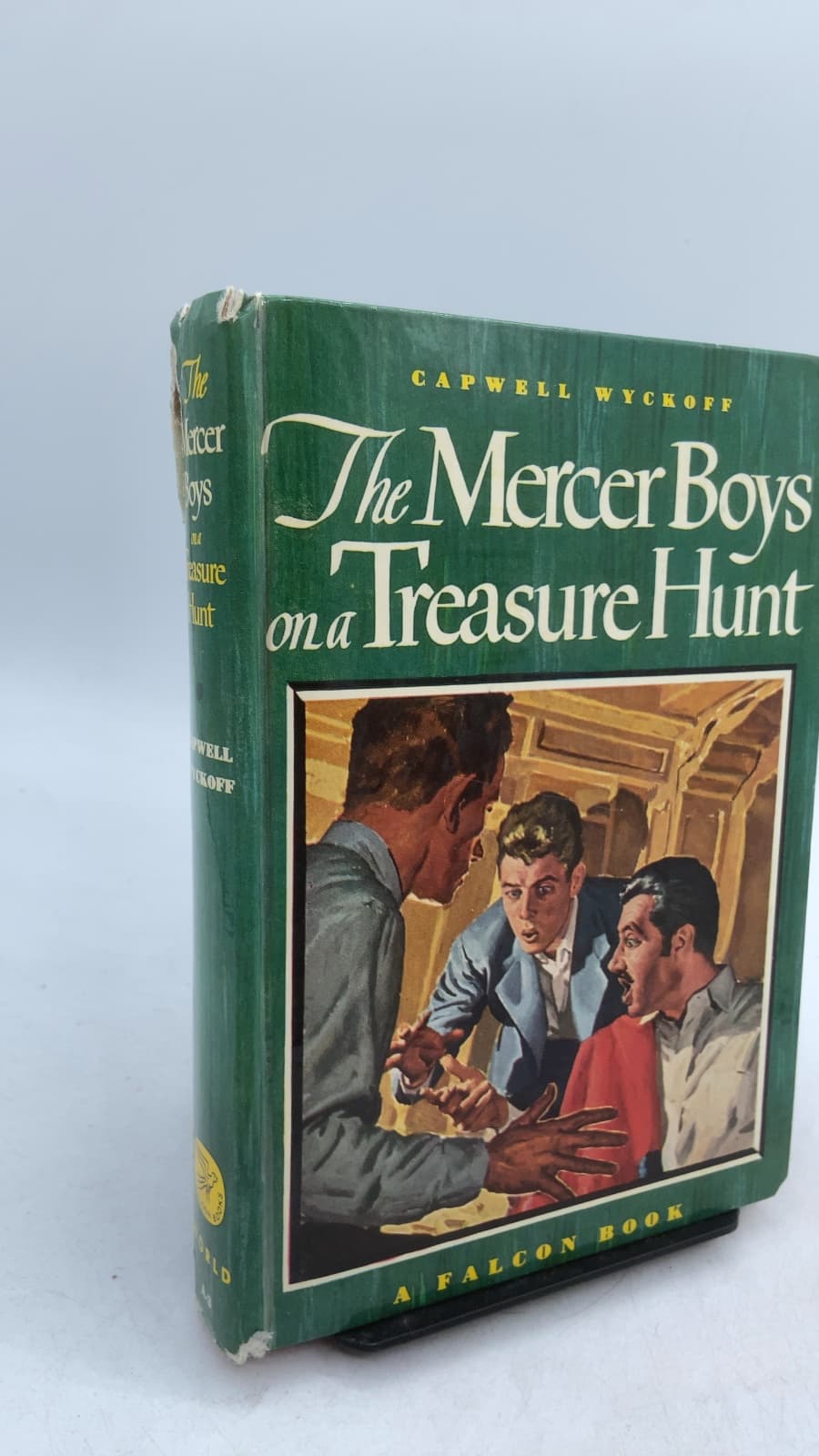 The Mercer Boys on a Treasure Hunt by Capwell Wyckoff - front cover