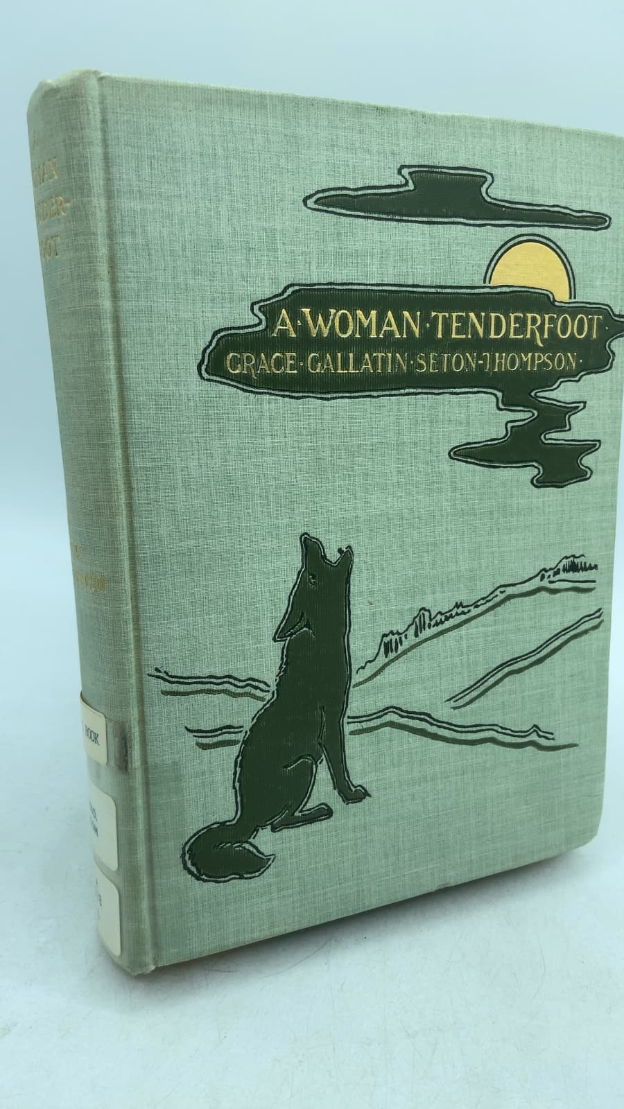 A Woman Tenderfoot by Grace Gallatin Seton-Thompson - front cover