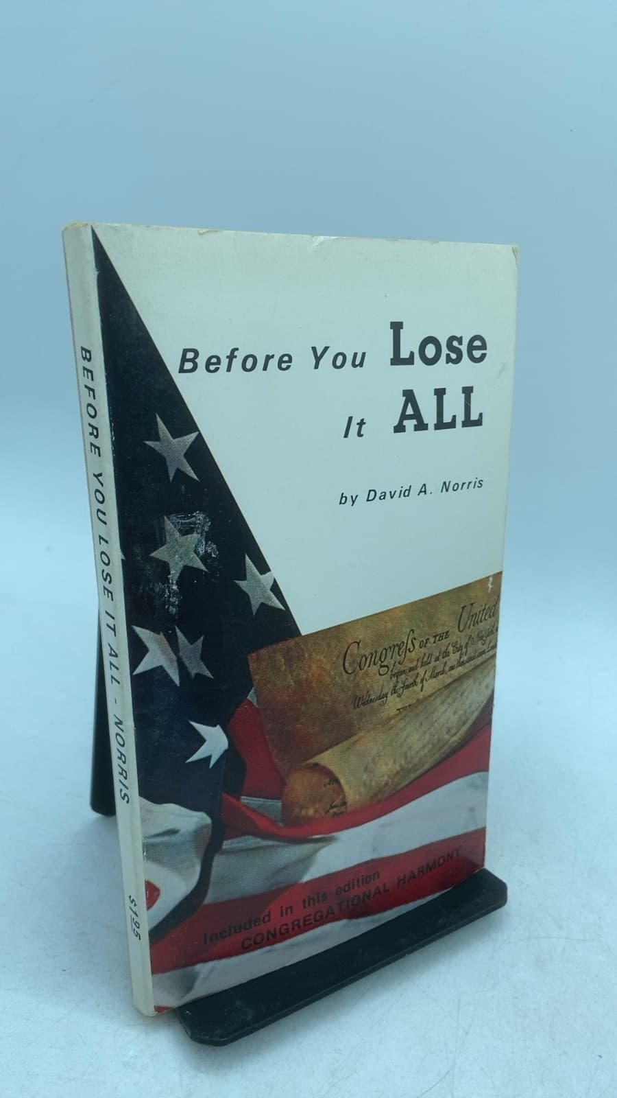 Before You Lose It All by David A. Norris - front cover