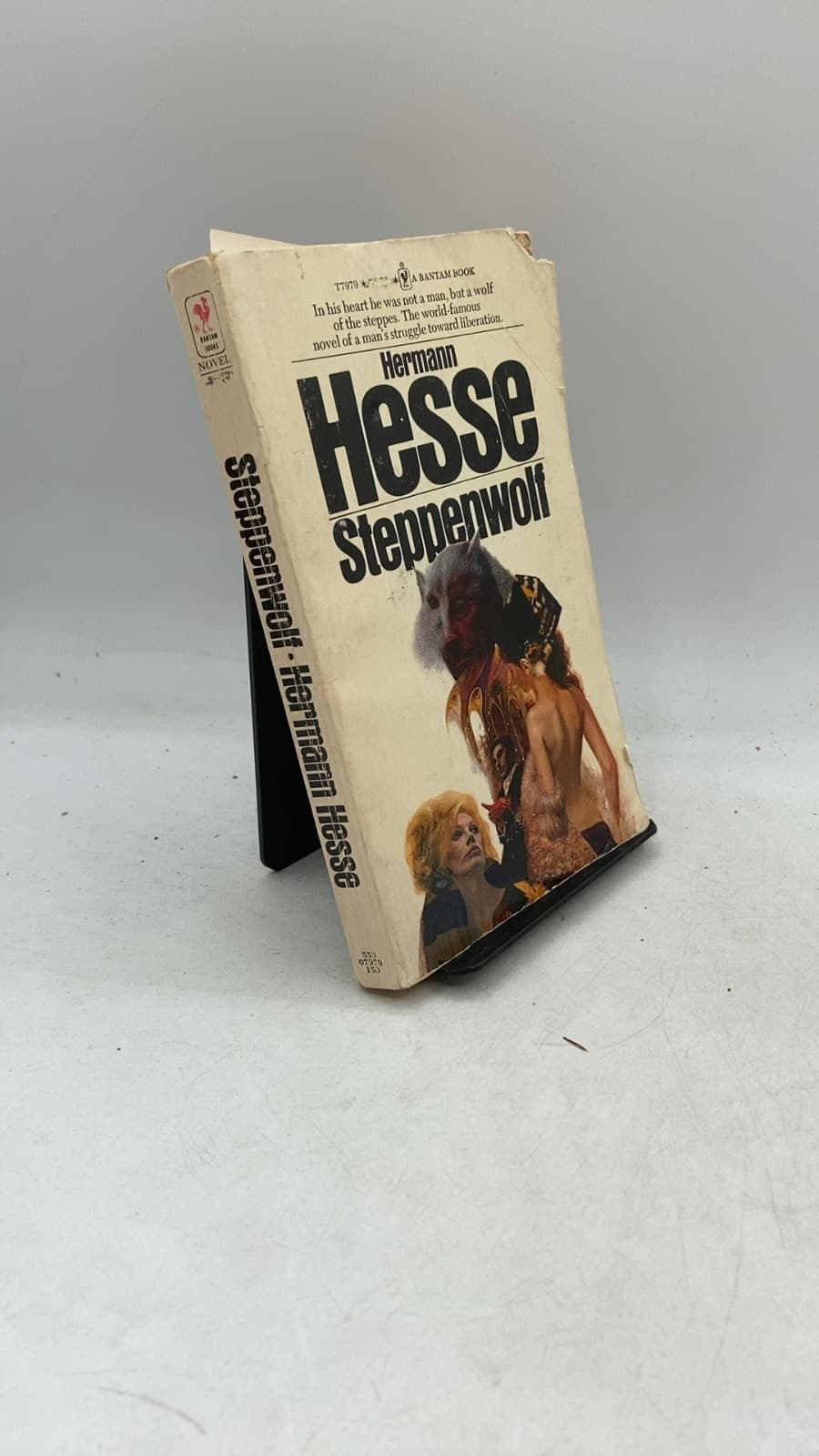 Steppenwolf by Hermann Hesse - front cover
