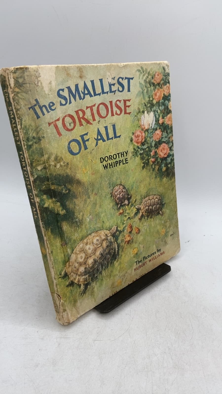 The Smallest Tortoise of All by Dorothy Whipple - front cover