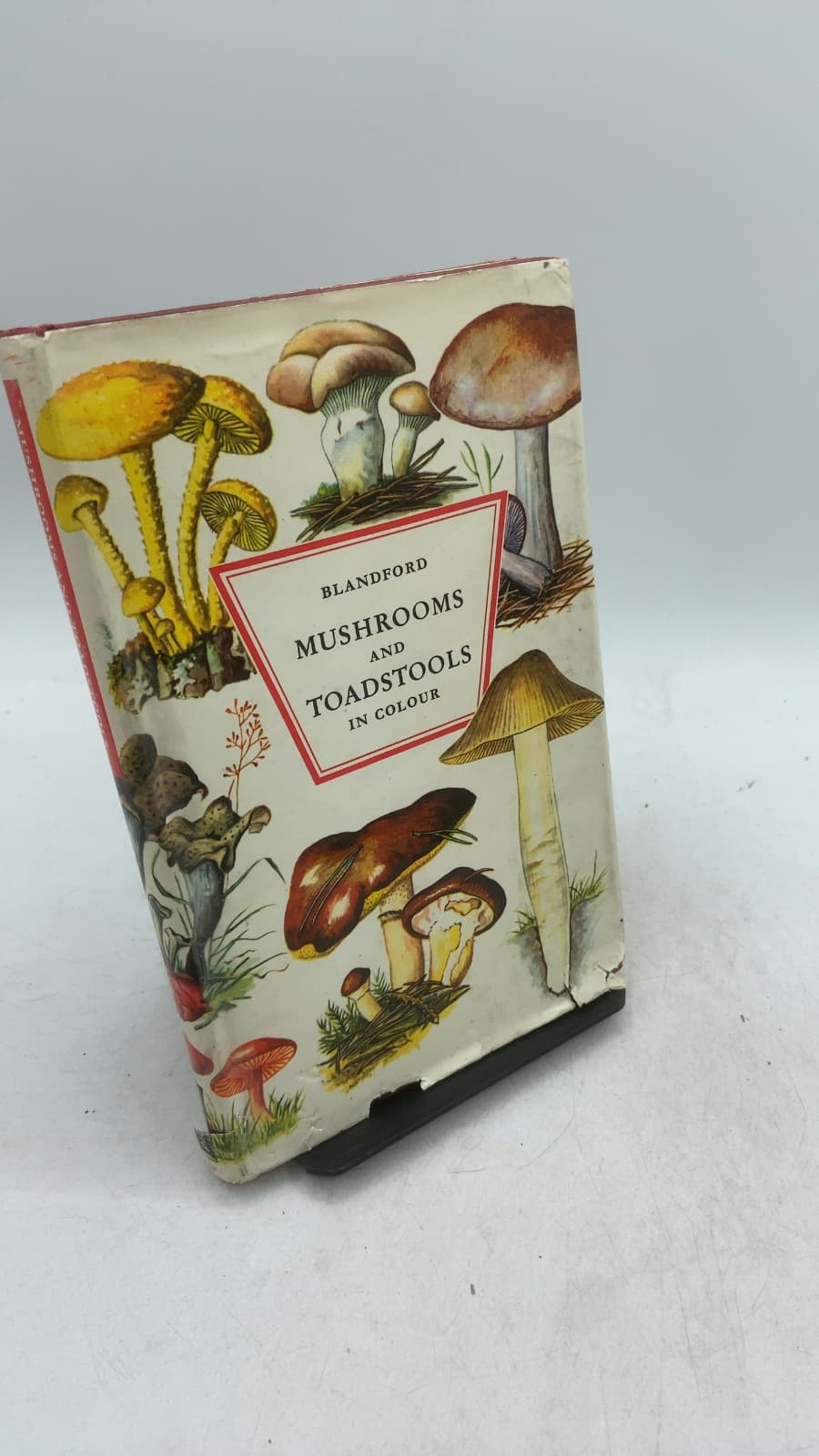 Mushrooms and Toadstools in Colour by Else and Hans Hvass - front cover